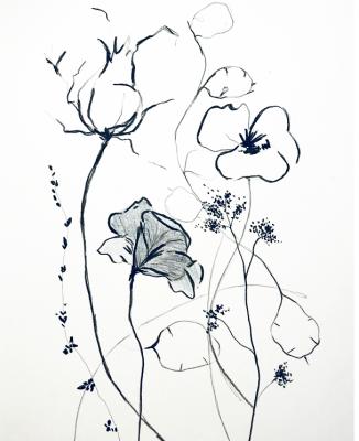 ��������� ����������. �������� ���������