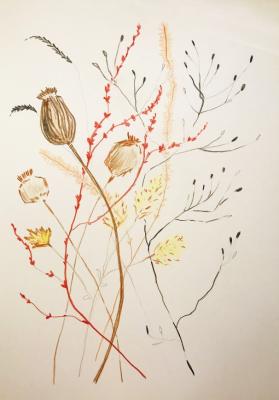 ��������� ����������. �������� ���������