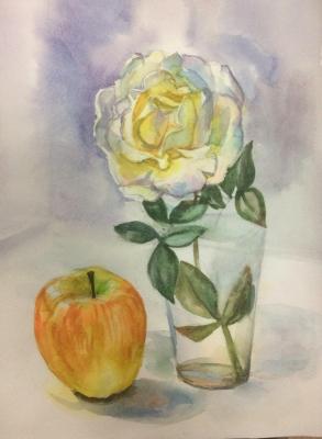 Sketch with rose and apple