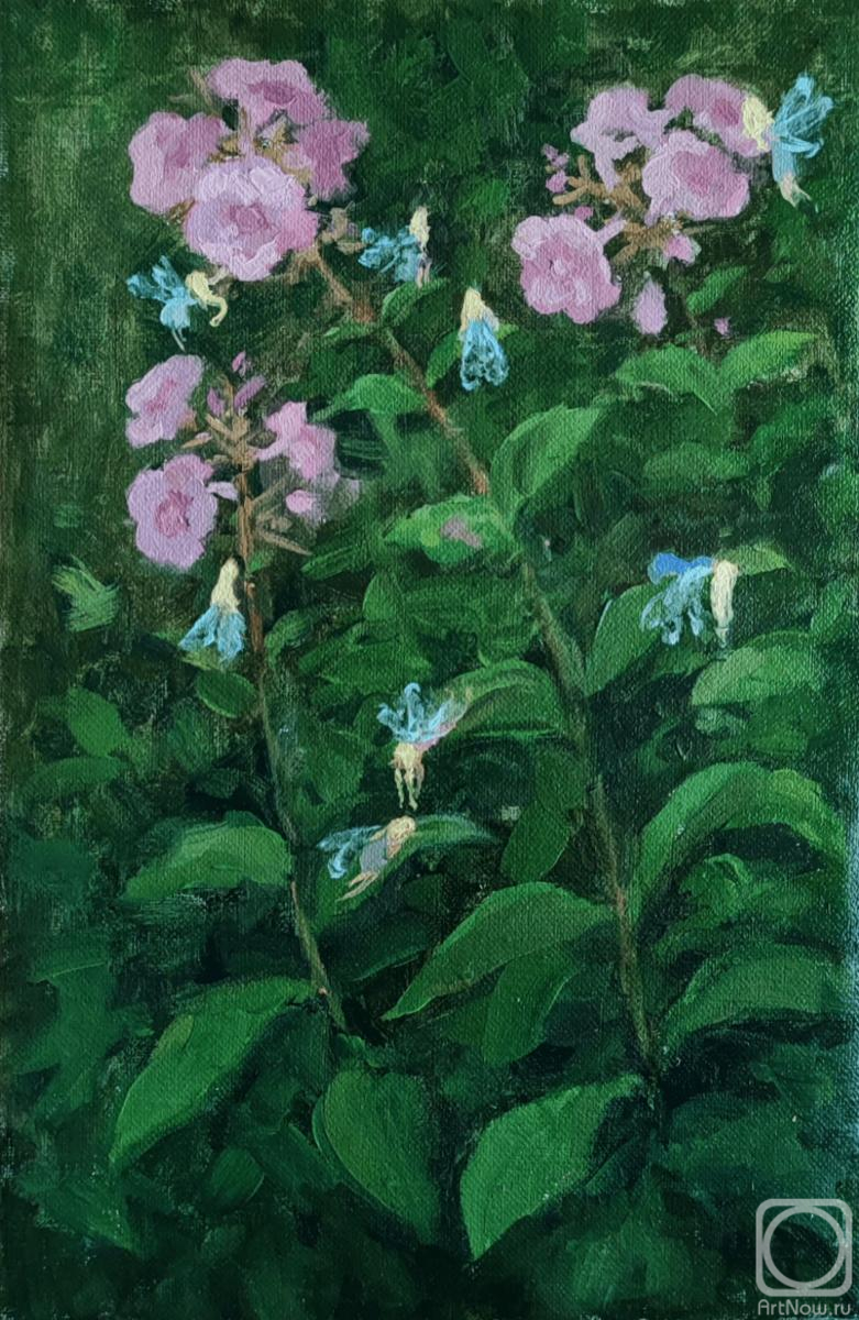 ������� ������ �� ������. ������� �����. ��������� ���