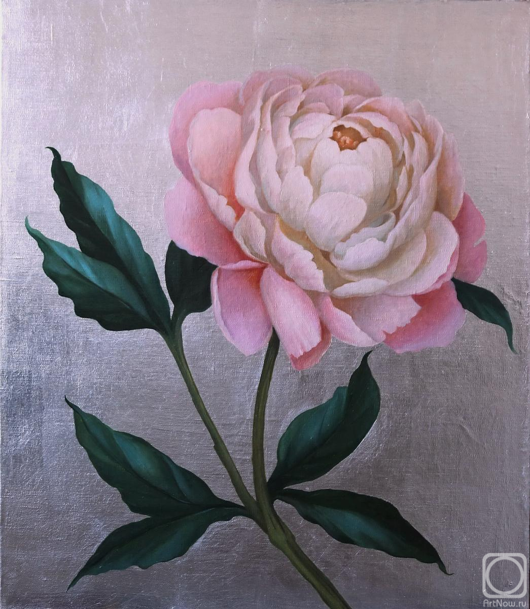 ������� ������ �� ������. ������ ����. ���� �� �������