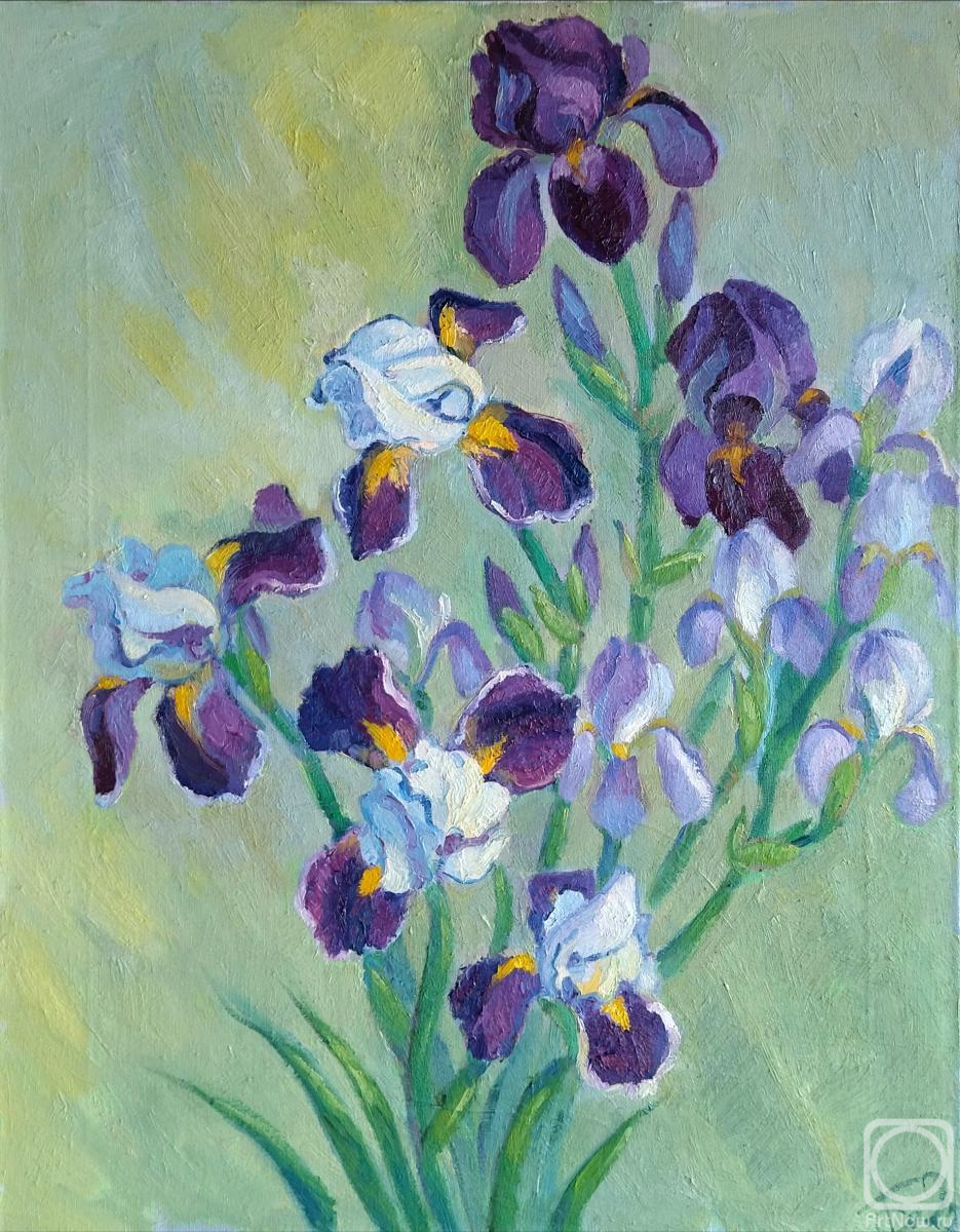 ������� ������ �� ������. ���������� �������. ������� ����������. �����