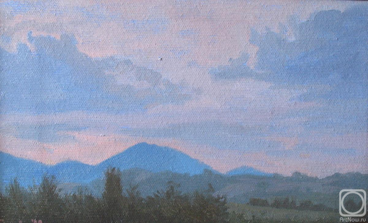 Bikova Yulia. Italian evening