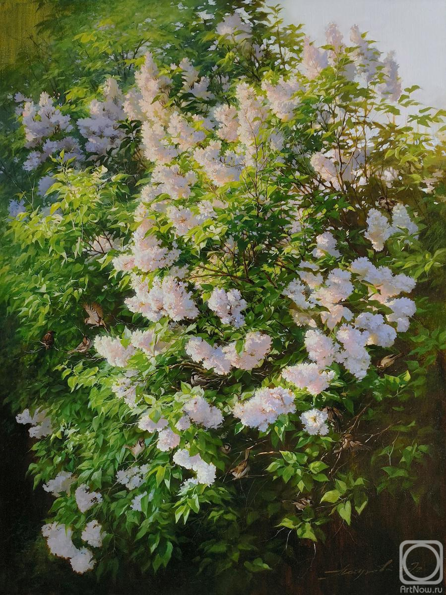 ������� ������ �� ������. �������� ������. �������� ������. �� ������ ����