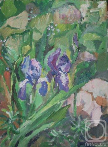 Kruppa Natalia. Purple irises