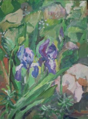 Purple irises. Kruppa Natalia