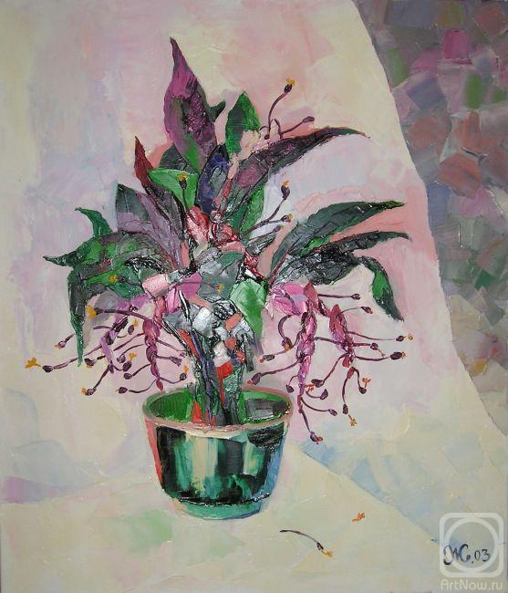 ������� ������ �� ������. �������� �����. ��������