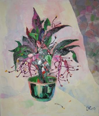 ��������. �������� �����