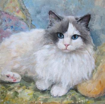 Portrait of the cat (Ragdoll). Serova Aleksandra