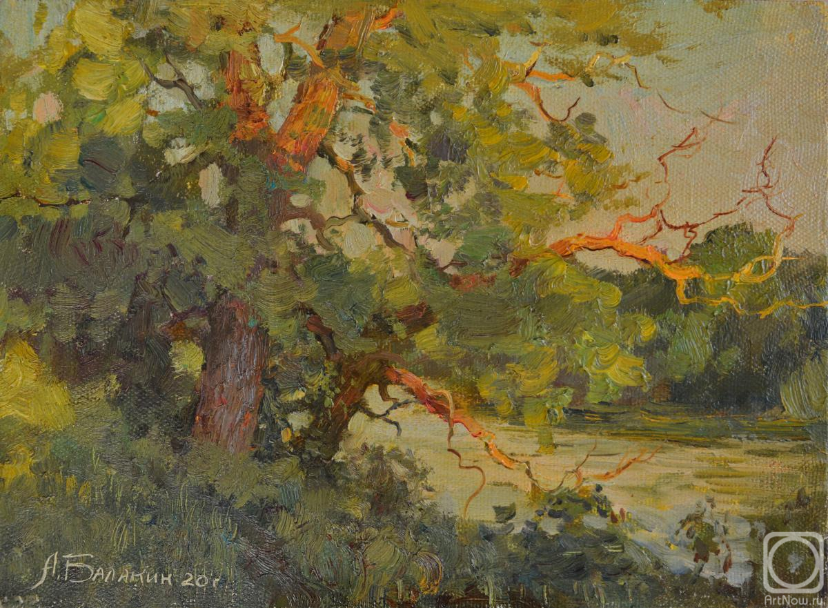 Balakin Artem. Evening study with a tree