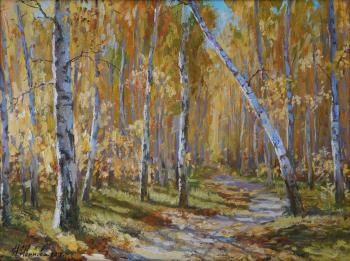 Birch grove in the Akhun forest