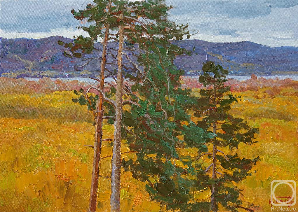 Panov Igor. Autumn pines