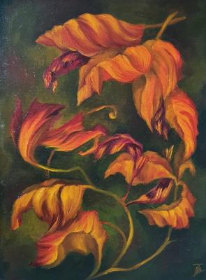 ������� ����������. ���� �������