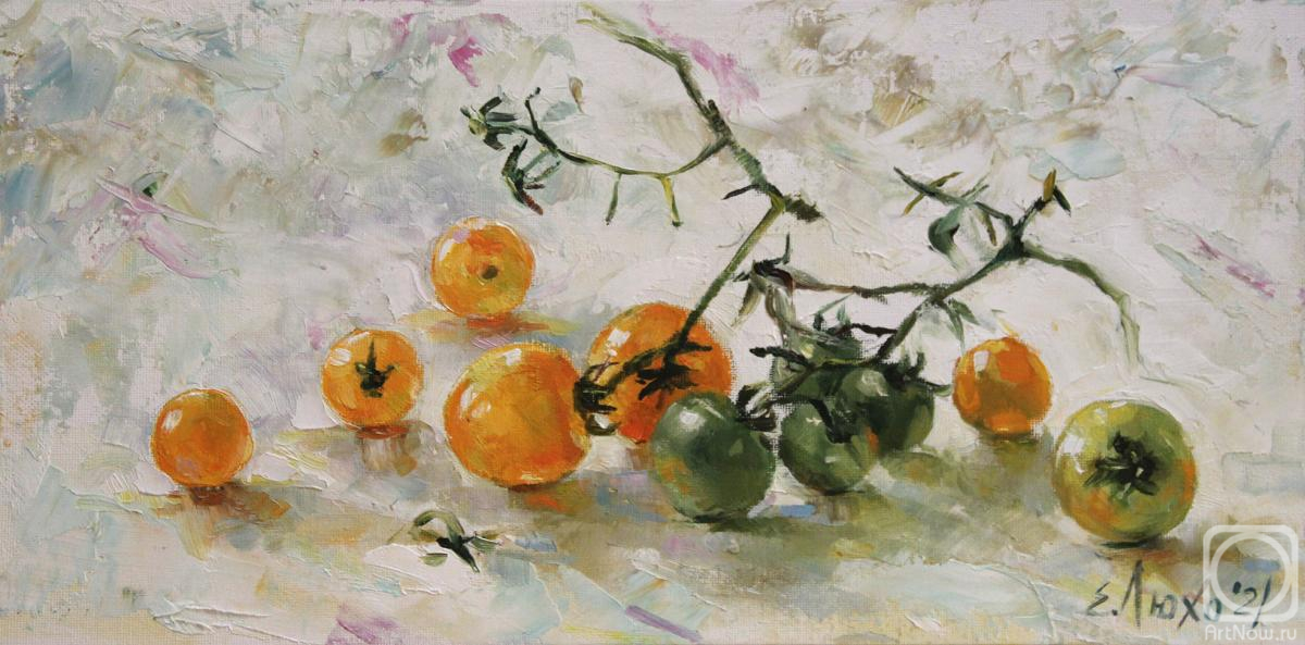 ������� ������ �� ������. ���� ���������. ���������