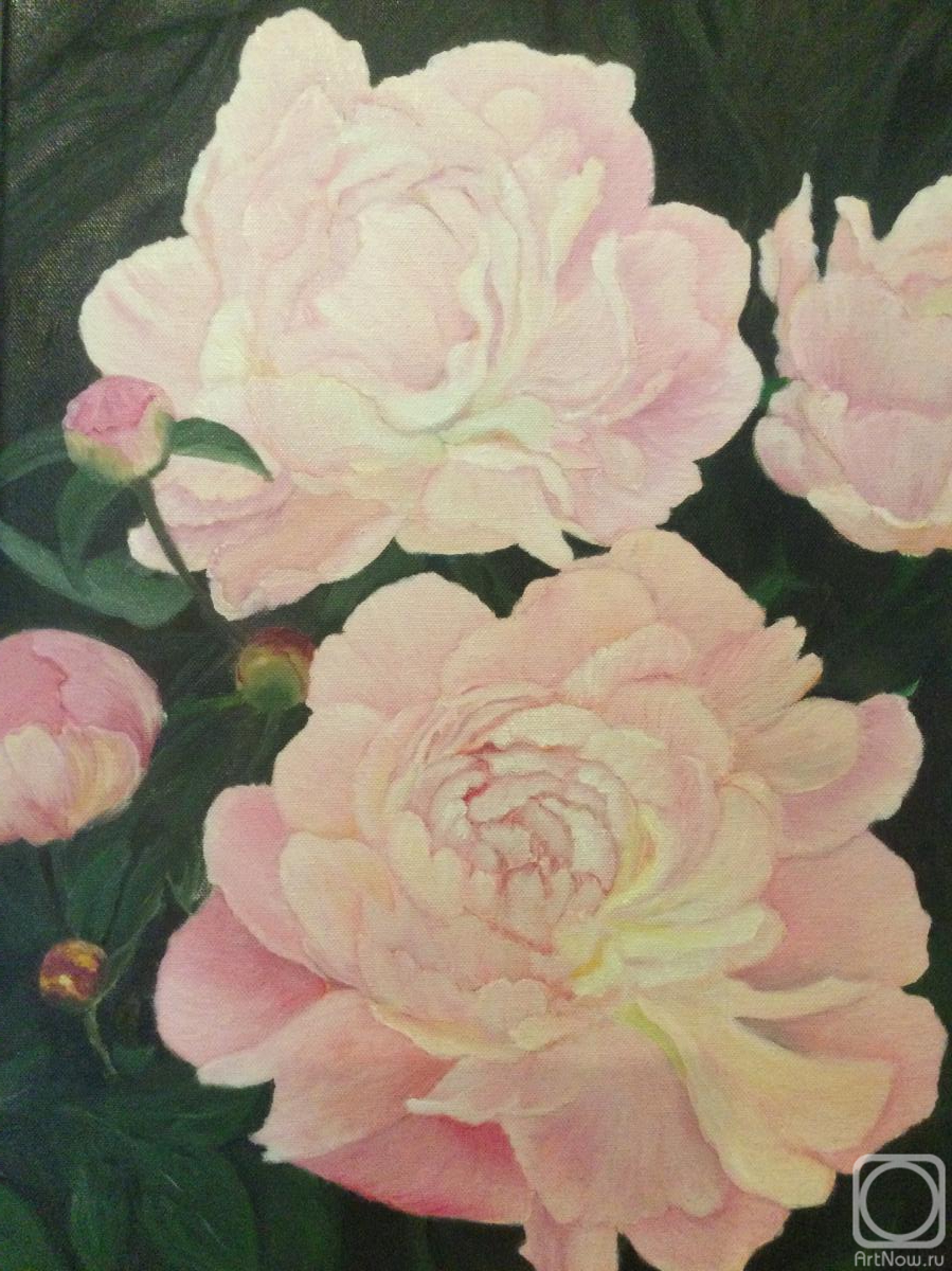 ������� ������ �� ������. ��������� �����. �����