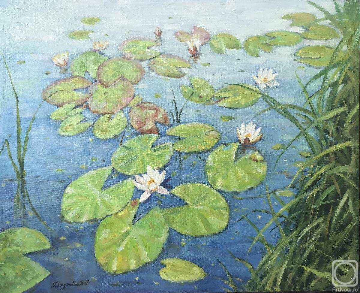 Dzhurabaev Farhad. Water lilies