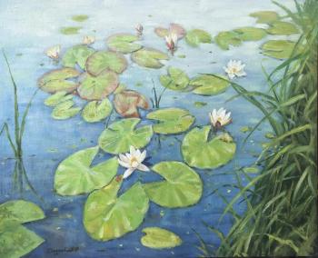 Water lilies (Plener). Dzhurabaev Farhad