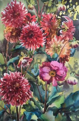 Dahlias in the garden (Garden Watercolor). Norloguyanova Arina