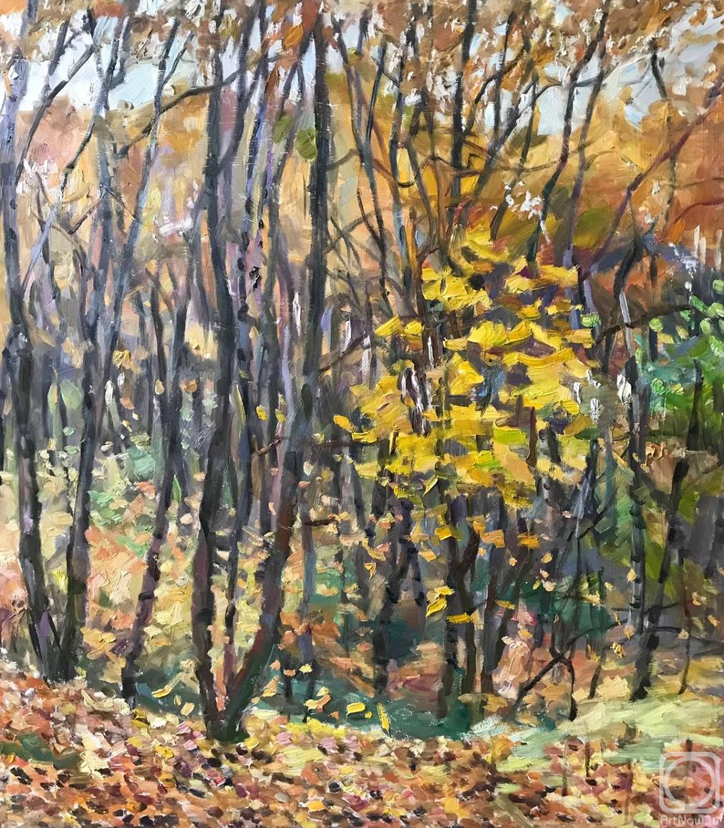 �������. ������ ��������. ������� �������