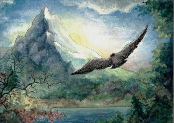Flying falcon (A Falcon). Serova Aleksandra