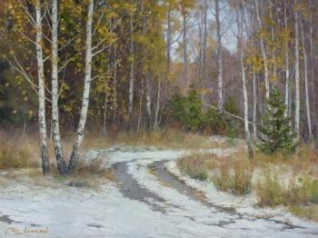 ������� ������� ����