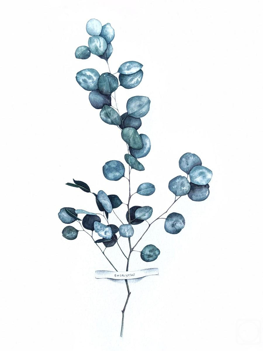 �������. ���������� ��������. ��������