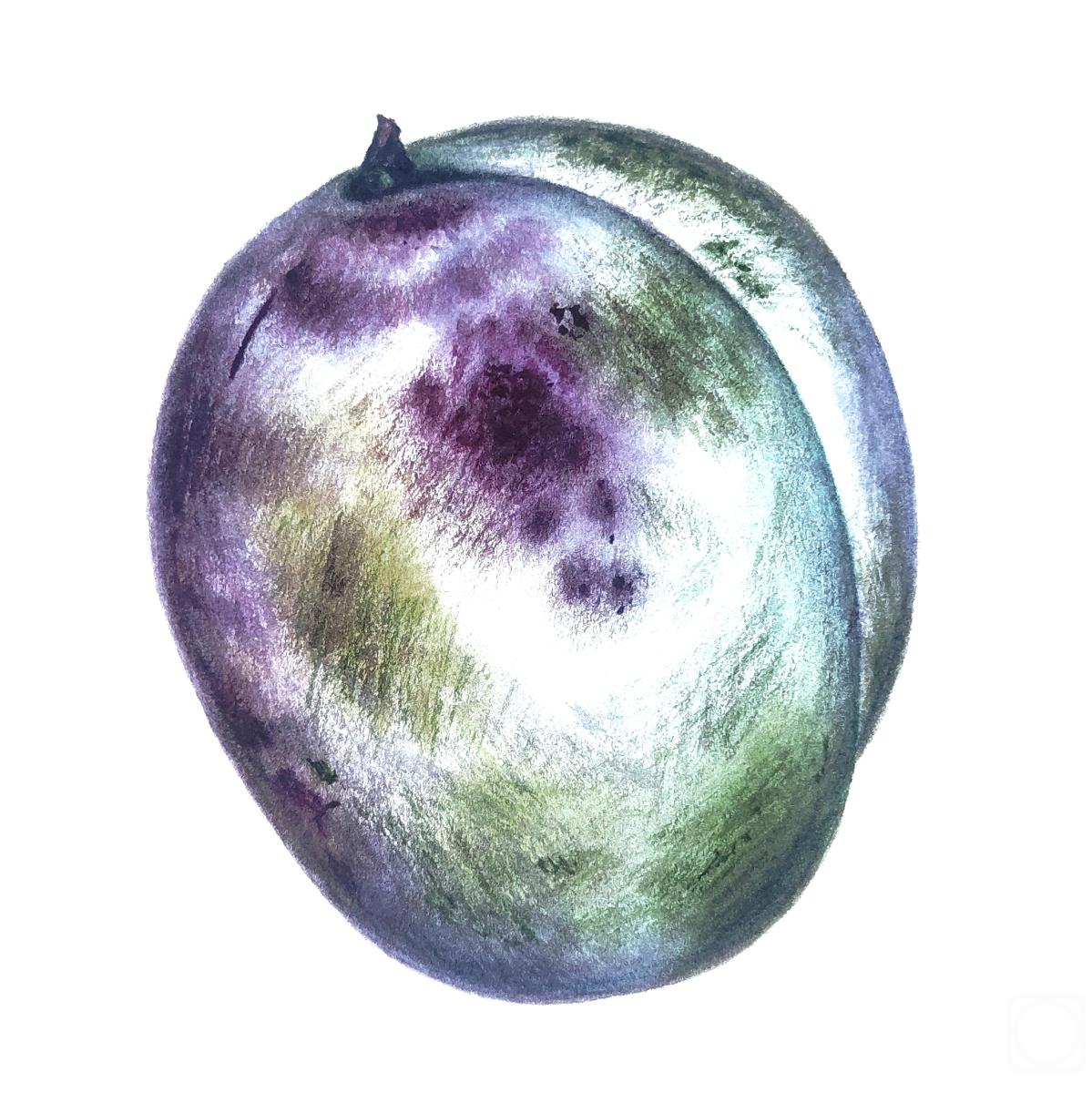 �������. ���������� ��������. �����