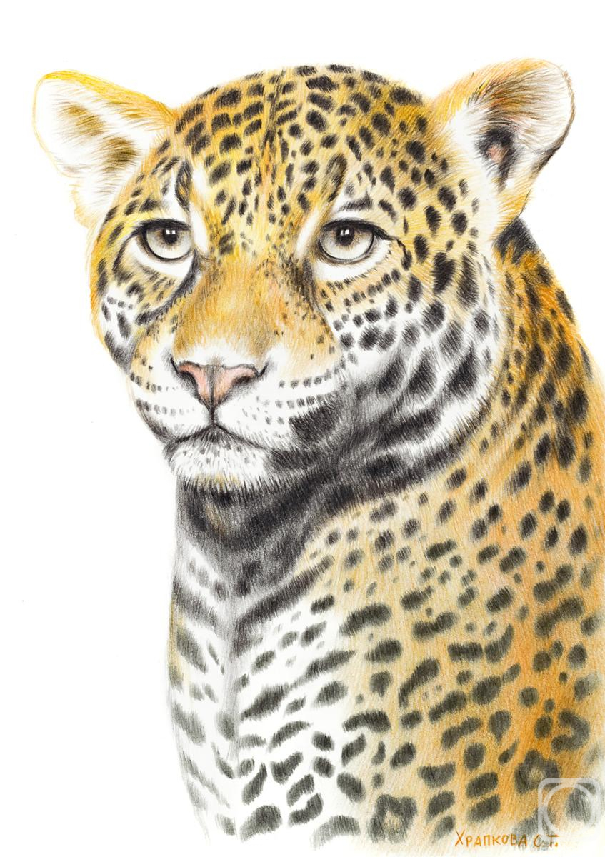 �������. �������� ��������. �������