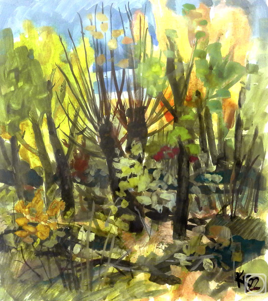 �������. �������� ������. �������