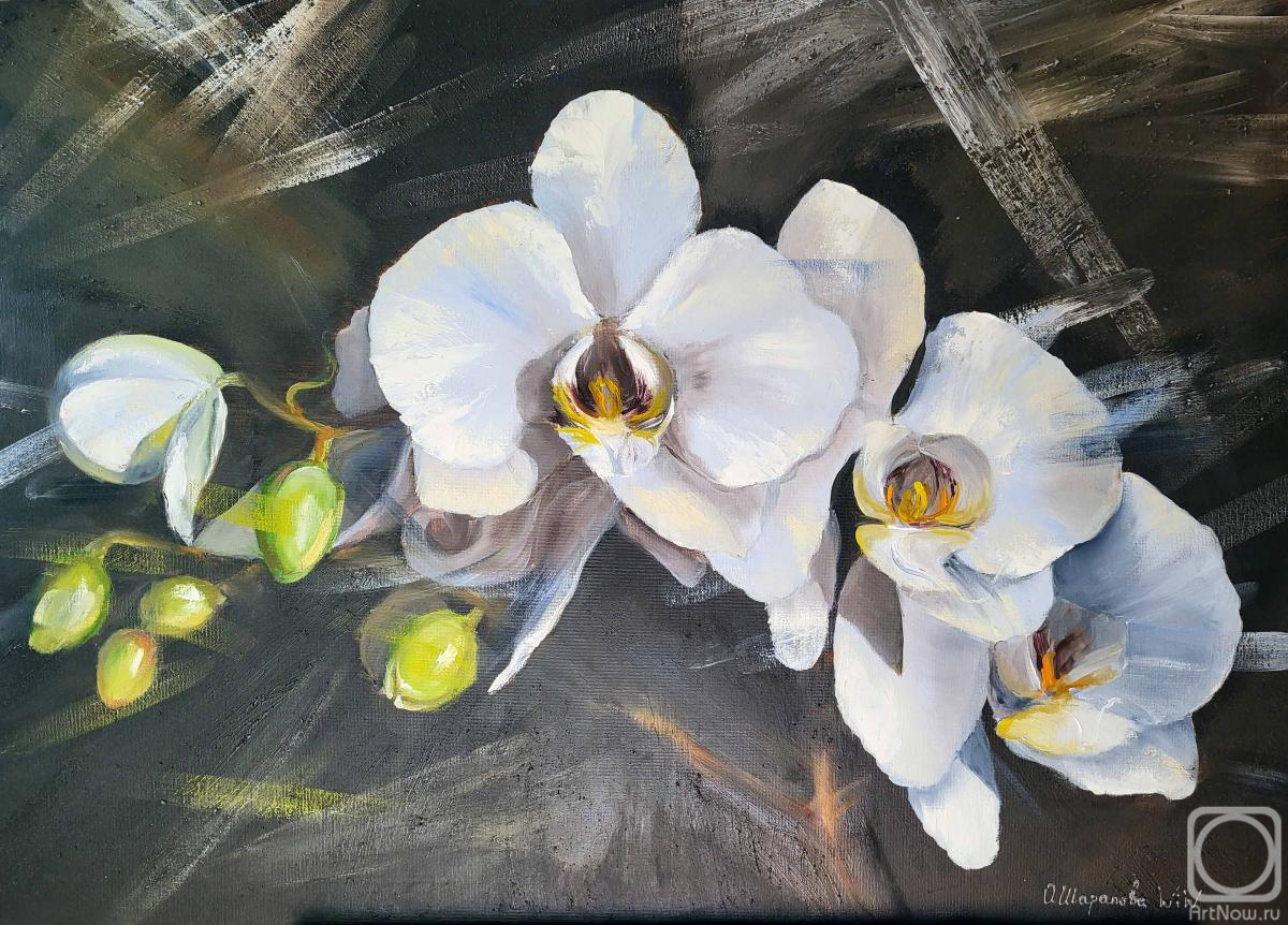 ������� ������ �� ������. �������� �����. ������� �� ������