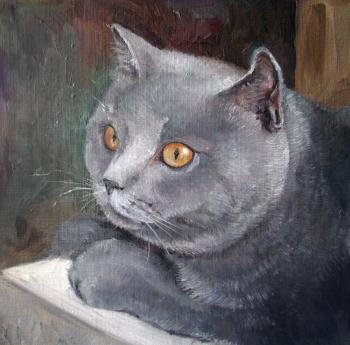 Portrait of the british cat. Serova Aleksandra