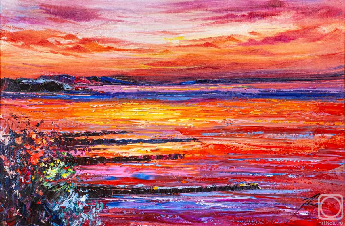 Rodries Jose. Fiery sunset on the coast