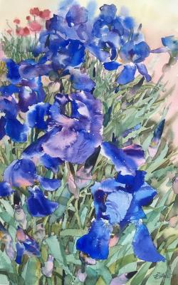Blue irises (Painting Blue Iris). Norloguyanova Arina