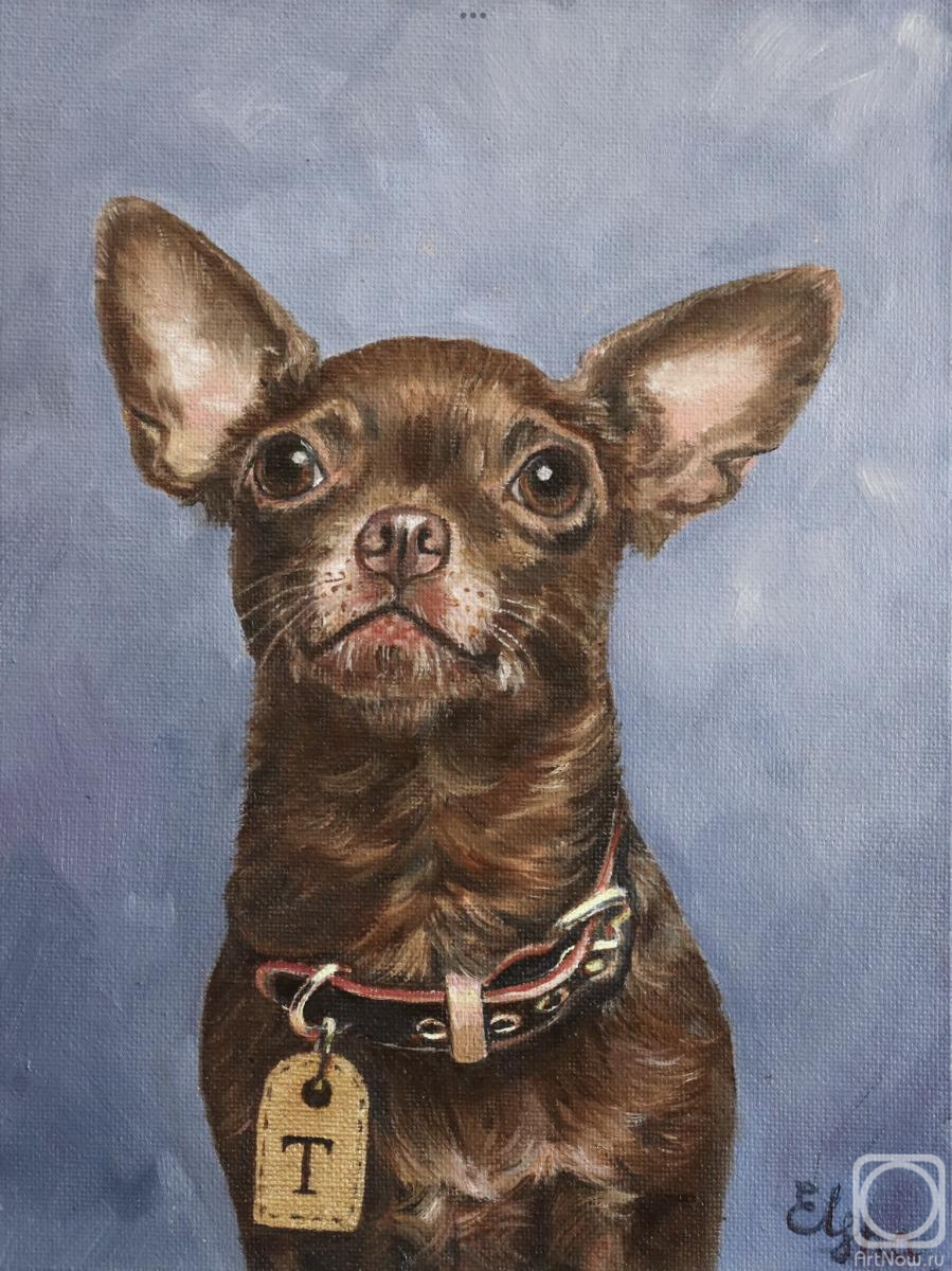 ������� ������ �� ������. ������� �����. ������� ��������