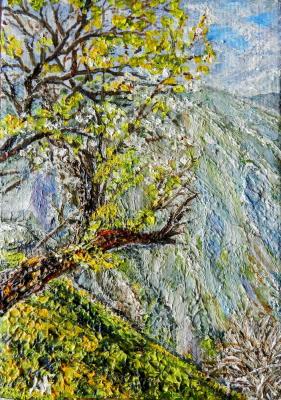 Spring in the mountains. Gudkov Andrey