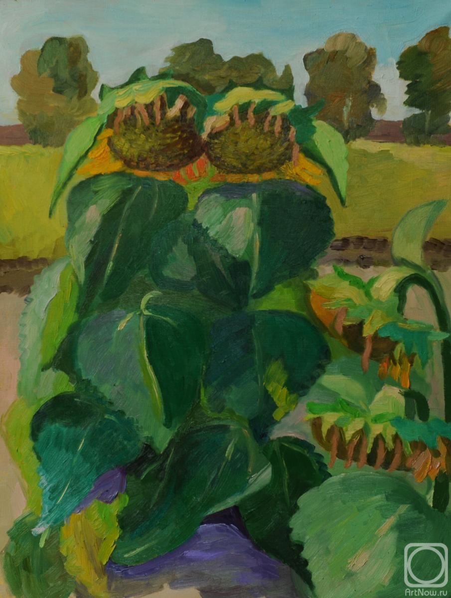 ������� ������ �� ������. ������� �������. ��� ����������