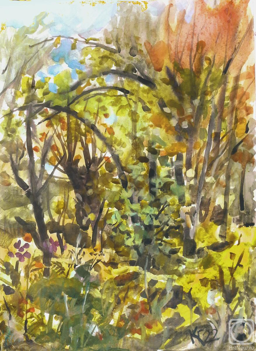 �������. �������� ������. �������