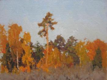 ����������� ���� ����� �����. ������ ������