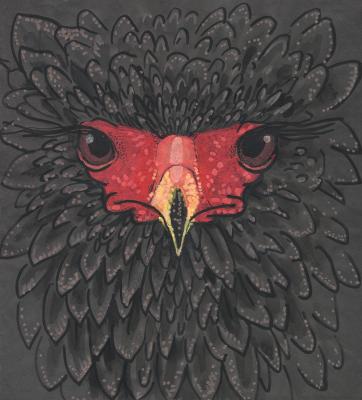 Bateleur Eagle African Bird Paper Collage Markers Sketch (Tissue Paper). Horoshih Yuliya