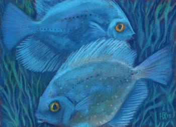 Blue Discuses, Tropical Fish Underwater Animal Art. Horoshih Yuliya