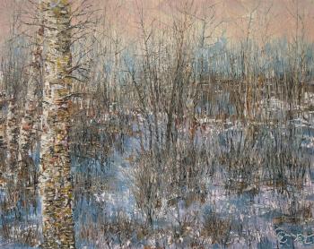 November swamp (Thoughtful Gift). Smirnov Sergey