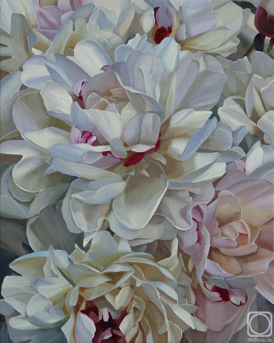 ������� ������ �� ������. ���������� ���������. ������ �����