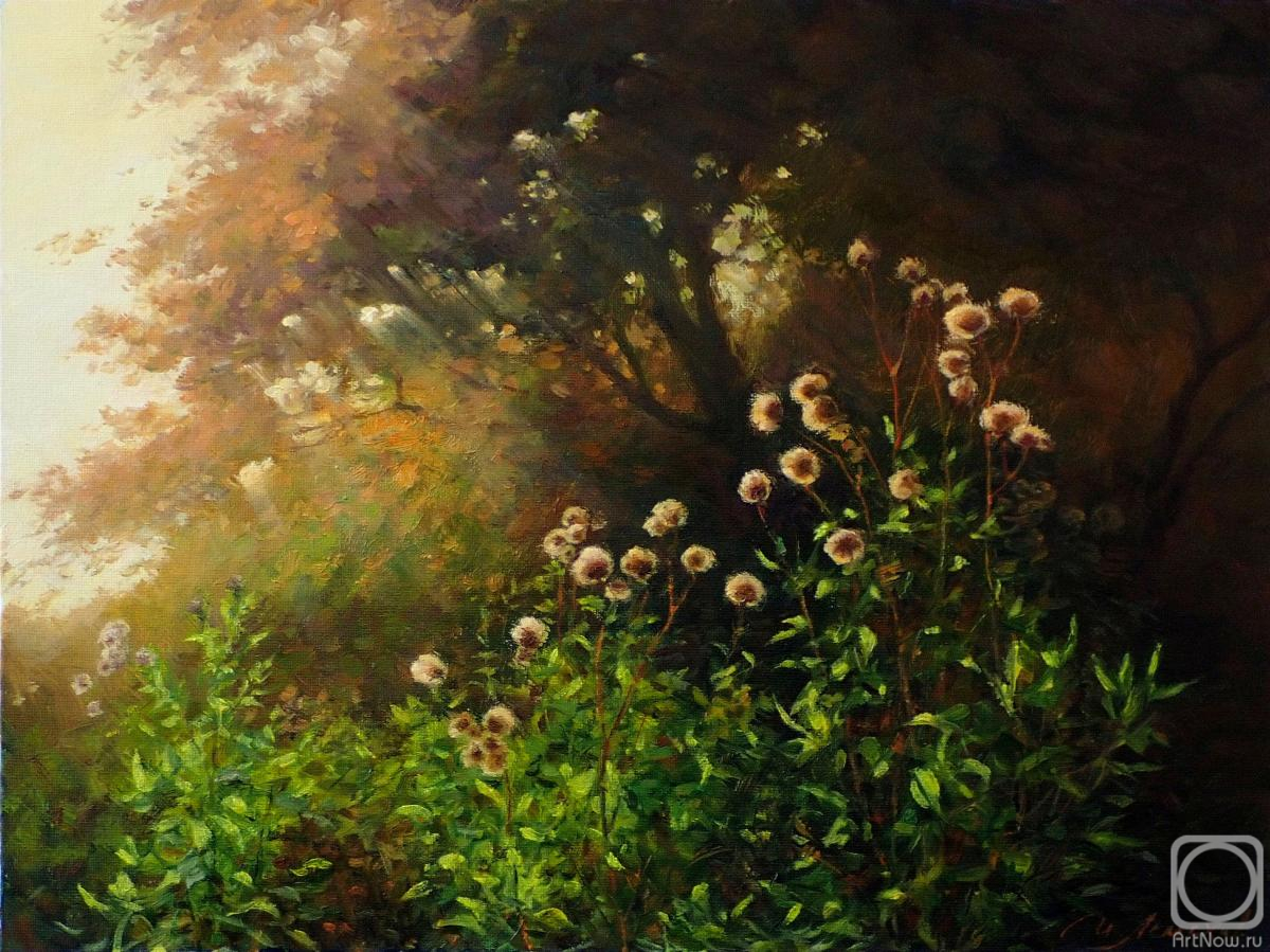 ������� ������ �� ������. ������� �����. � �������� �����