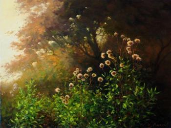 ������� �� �������� ������