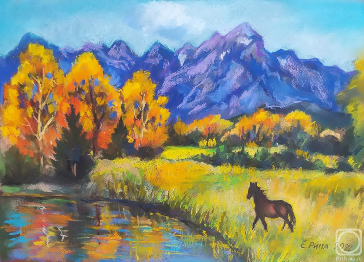 �������. ���� �����. ����� � �����