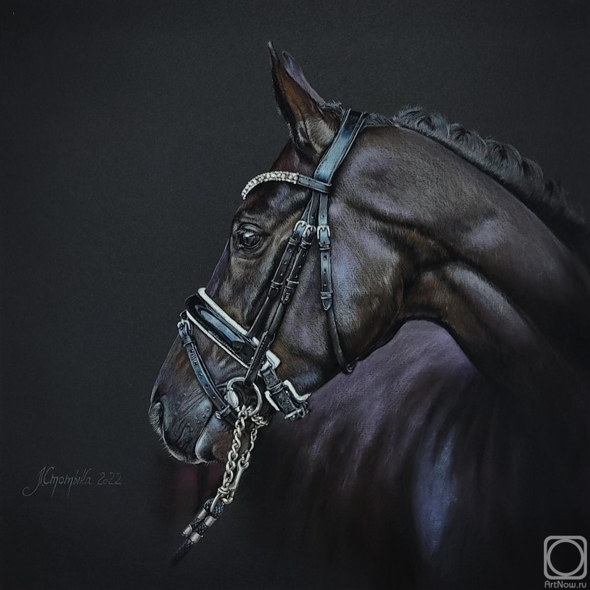 Stotyka Lyudmila. Untitled