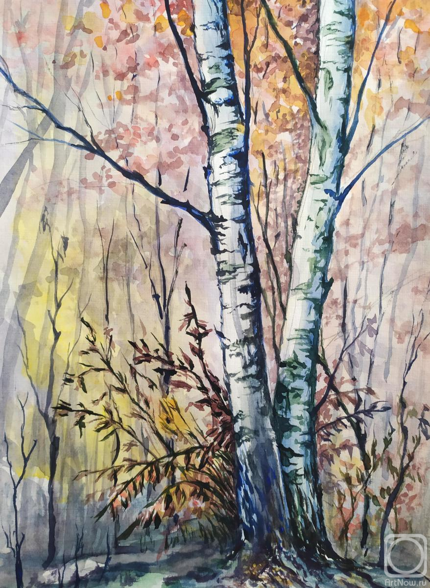 �������. ��������� ��������. ��� �������