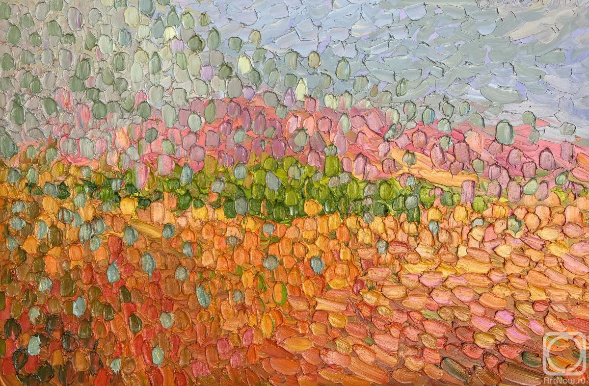 ������� ������ �� ������. ������ �����. ������ ����� � �����