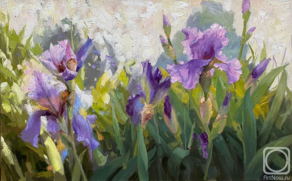 ������� ������ �� ������. �������� ����. �����