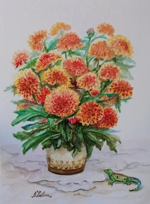 ������� ����� �������� �����